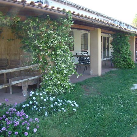 Borgo S.Maria Di Vulci ξενώνας Montalto di Castro Εξωτερικό φωτογραφία