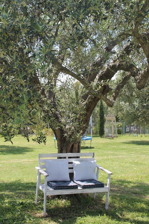 Borgo S.Maria Di Vulci ξενώνας Montalto di Castro Εξωτερικό φωτογραφία