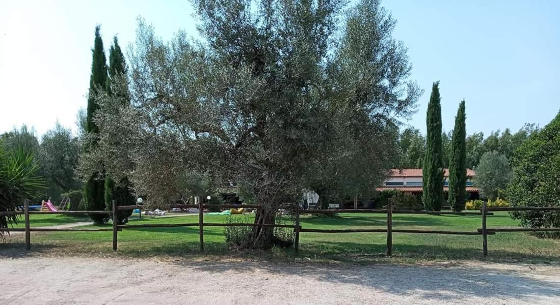 Borgo S.Maria Di Vulci ξενώνας Montalto di Castro Εξωτερικό φωτογραφία